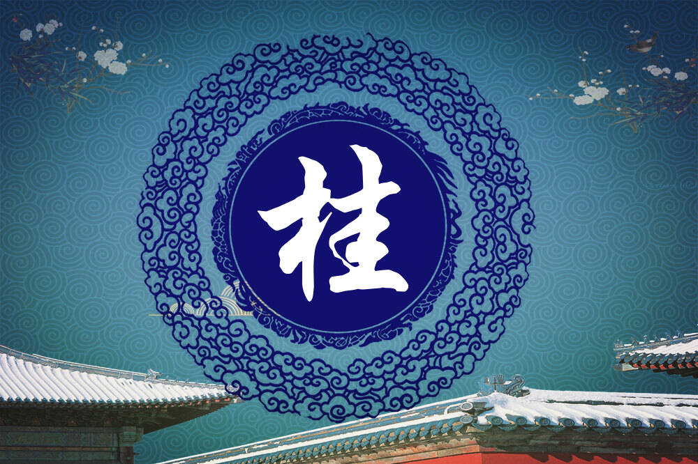 岑姓桂字辈男女孩名字大全岑姓桂字辈取名起名姓岑桂字辈什么名字好